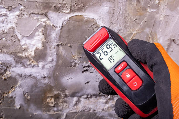 Best Residential Mold Removal  in Clayton, CA