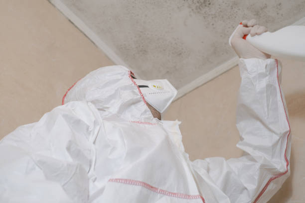 Best Mold Testing  in Clayton, CA