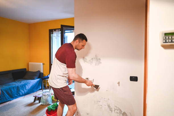 Trusted Clayton, CA Mold Removal Experts